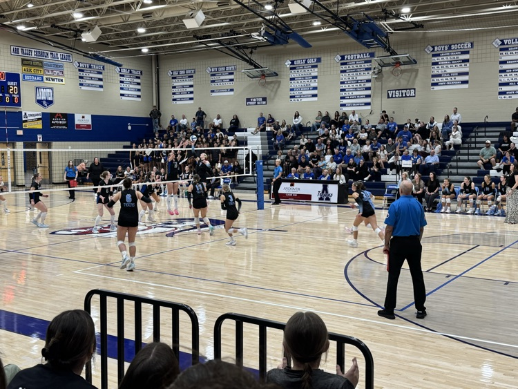 vb