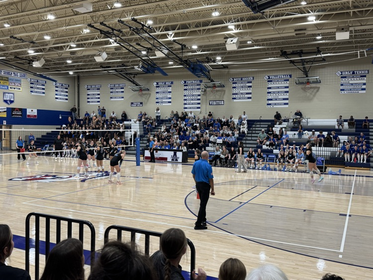 vb