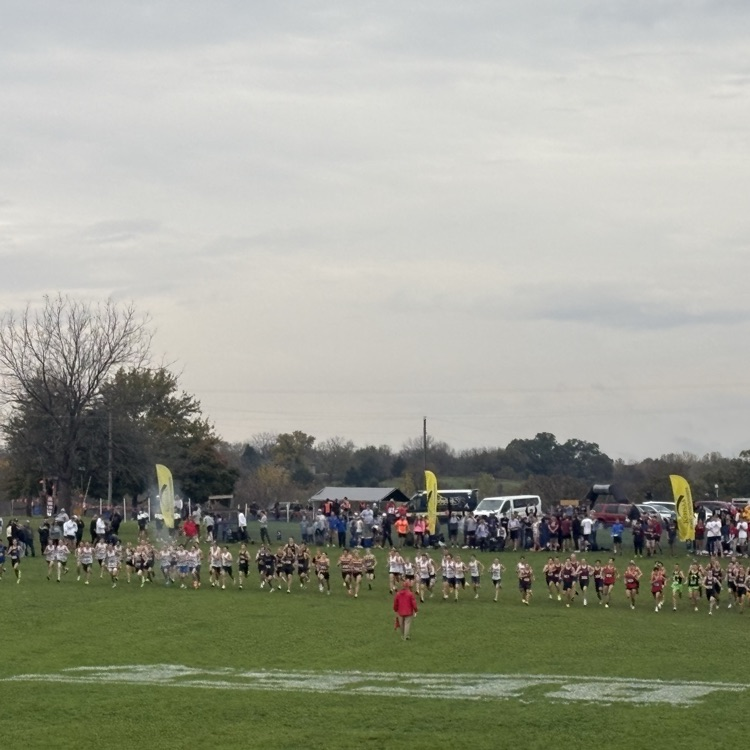 5A State Cross Country ends with a Top 11 finish and two personal best times! 