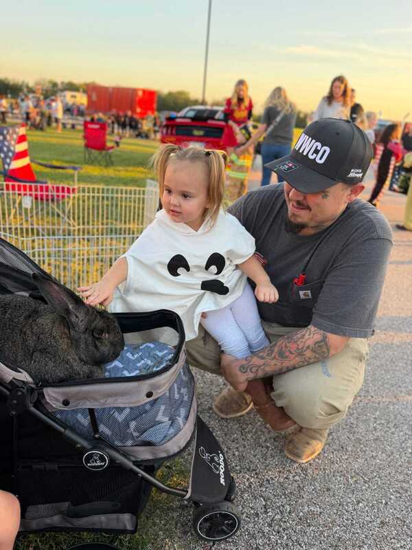 A man holds a curious toddler as she reaches toward a large rabbit in a stroller at a sunny outdoor fair, creating a warm, gentle moment.