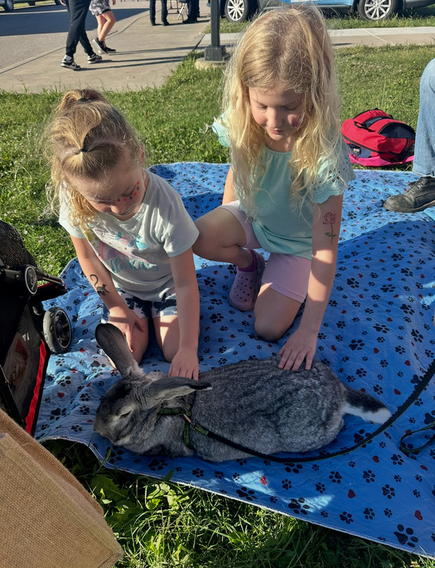 CDS’ 2nd Annual Touch-a-Truck was a huge success! Thank you to all the businesses and wonderful Goddard community helpers who volunteered their time and vehicles to make some unforgettable memories for our students! We’ll see you next year!