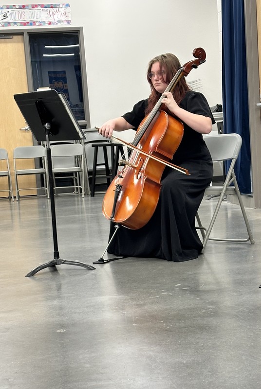GHS orchestra students place high at the Regional Music Festival.