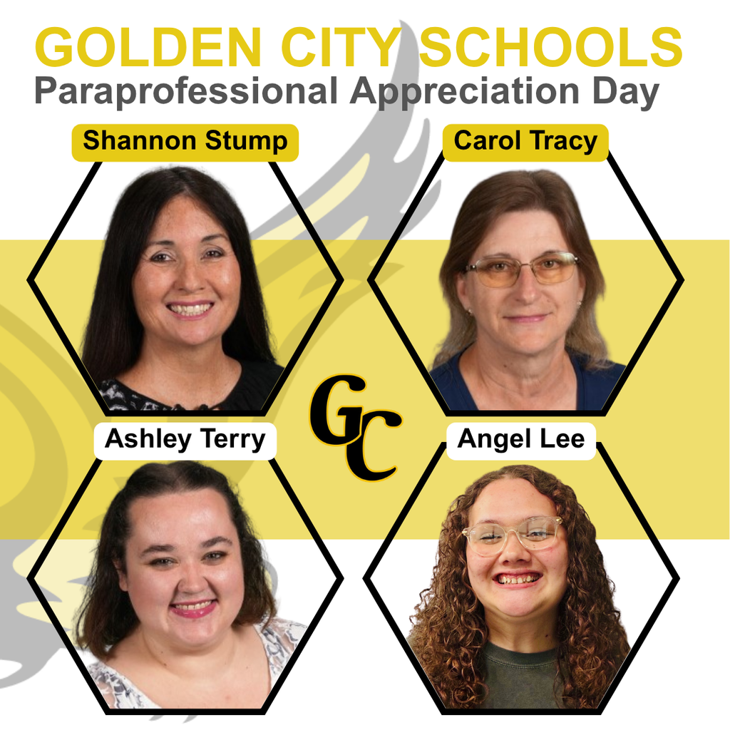 paraprofessionals day