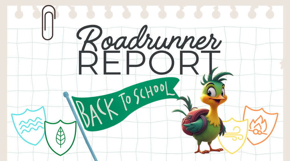 roadrunner report