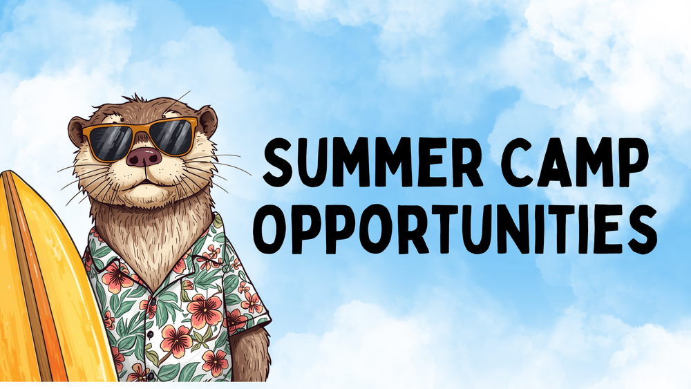 Summer Camp Opportunities
