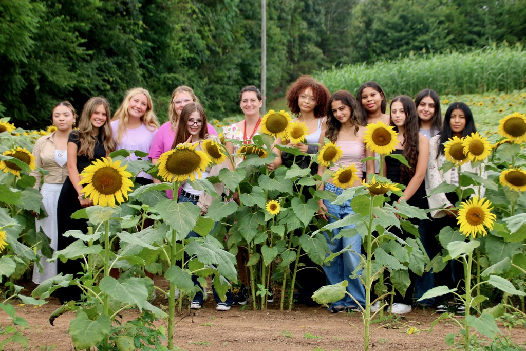 sunflower field trip
