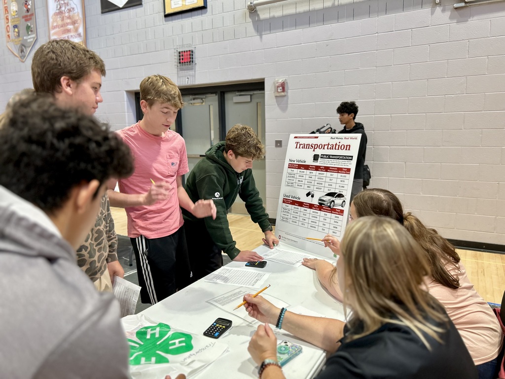 Financial simulation