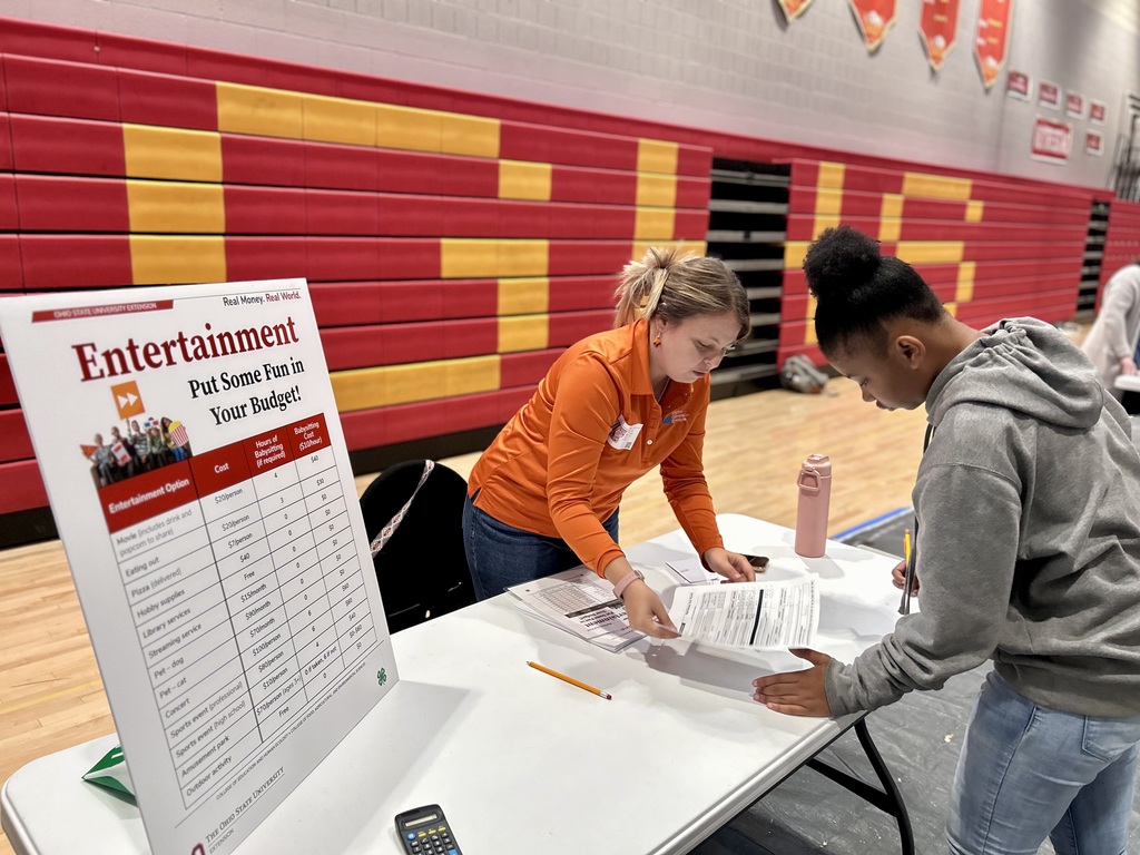 Financial simulation