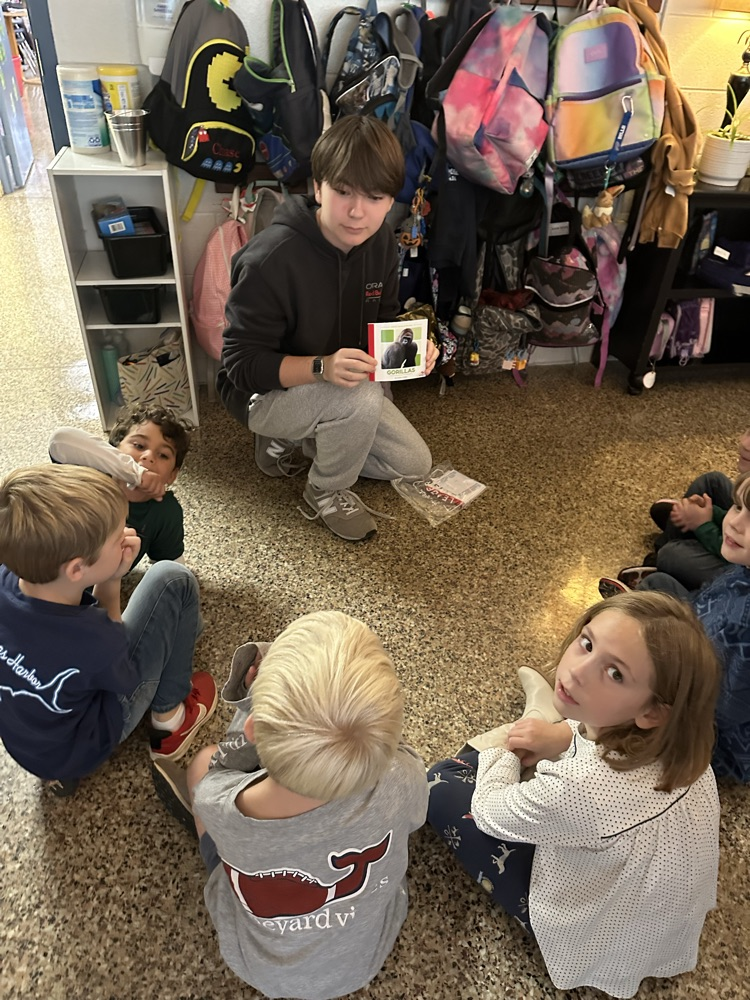 CFA