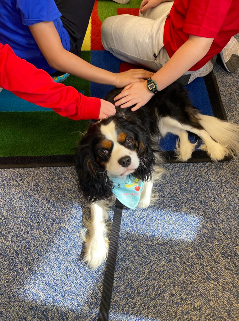 Look at that face!  He is so sweet!