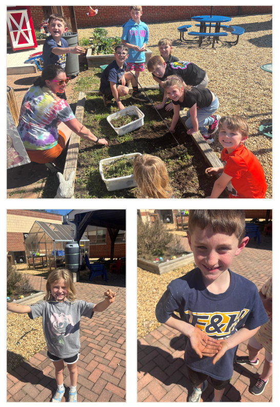 Garden Fairies at work