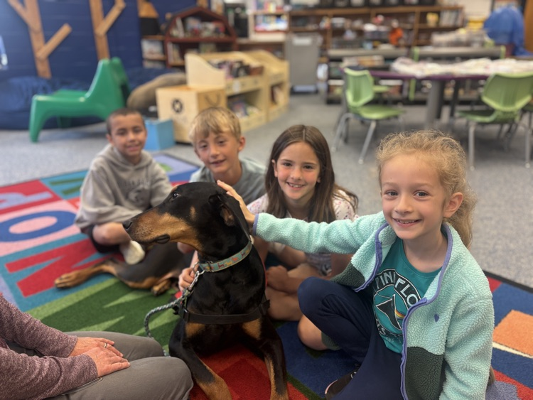 what do you think Pi loves more -the attention or the stories?