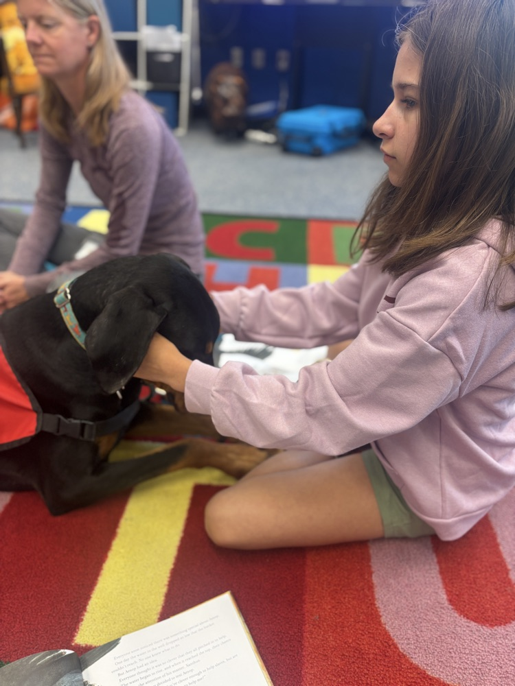 Definitely the attention!