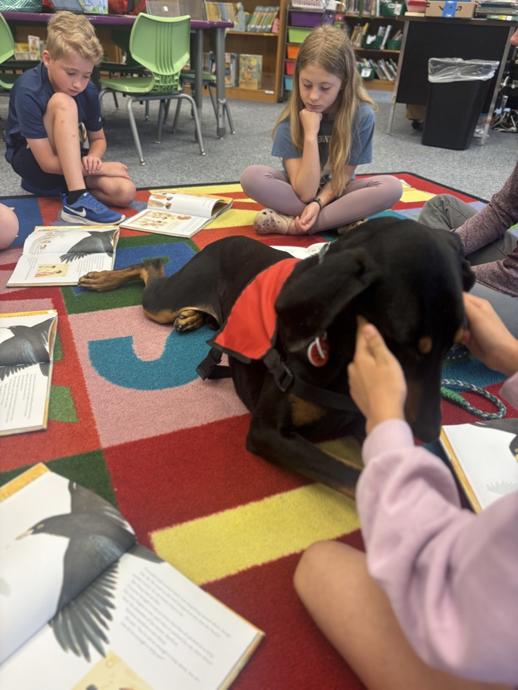 the stories are a great bonus!