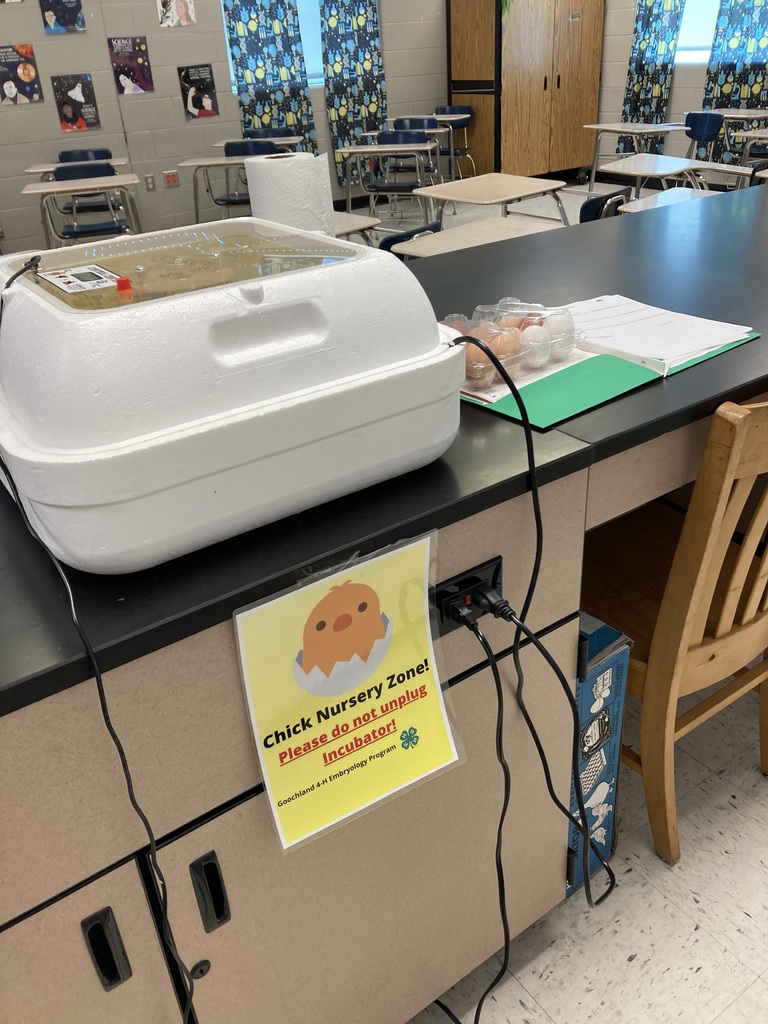 Chicken Nursery Zone