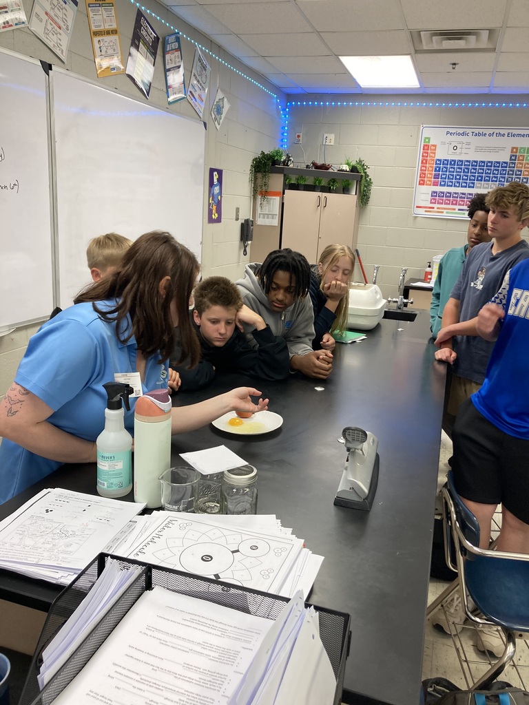 Students looking at eggs