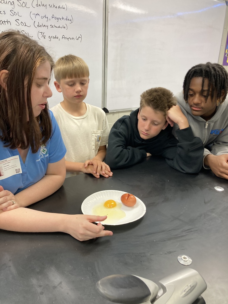 Students looking at eggs