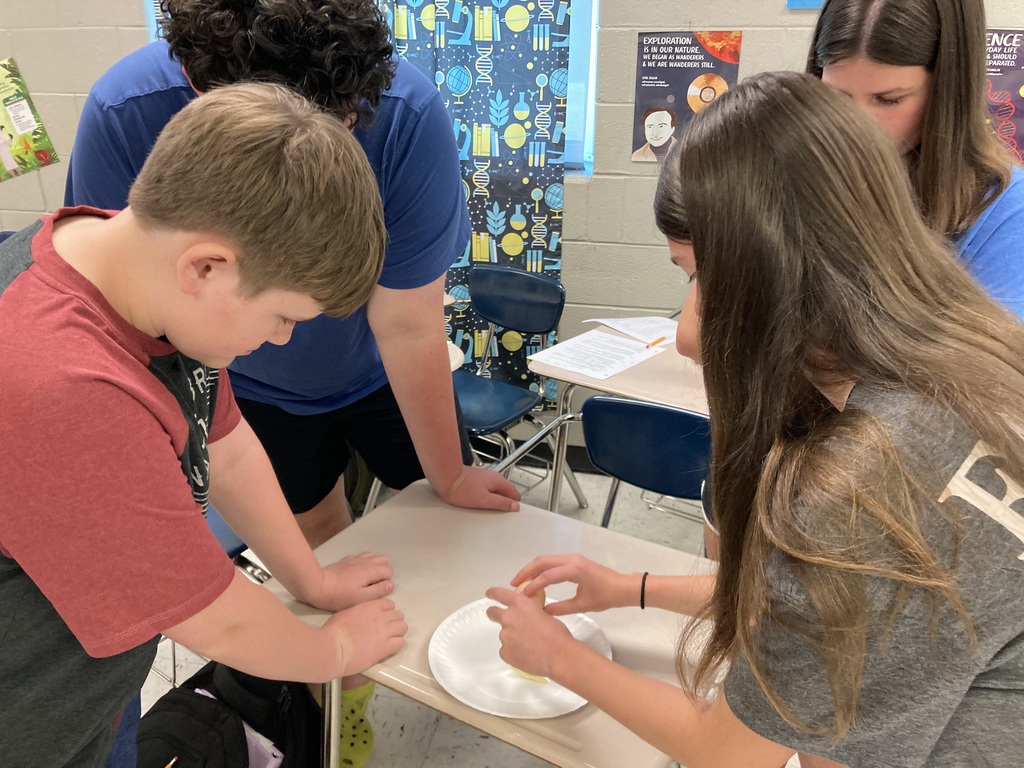 Students looking at eggs