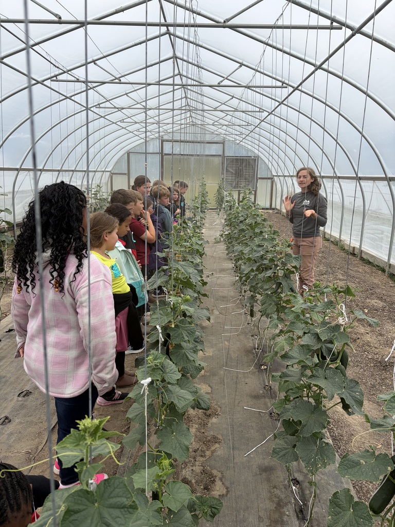 Shalom Farms