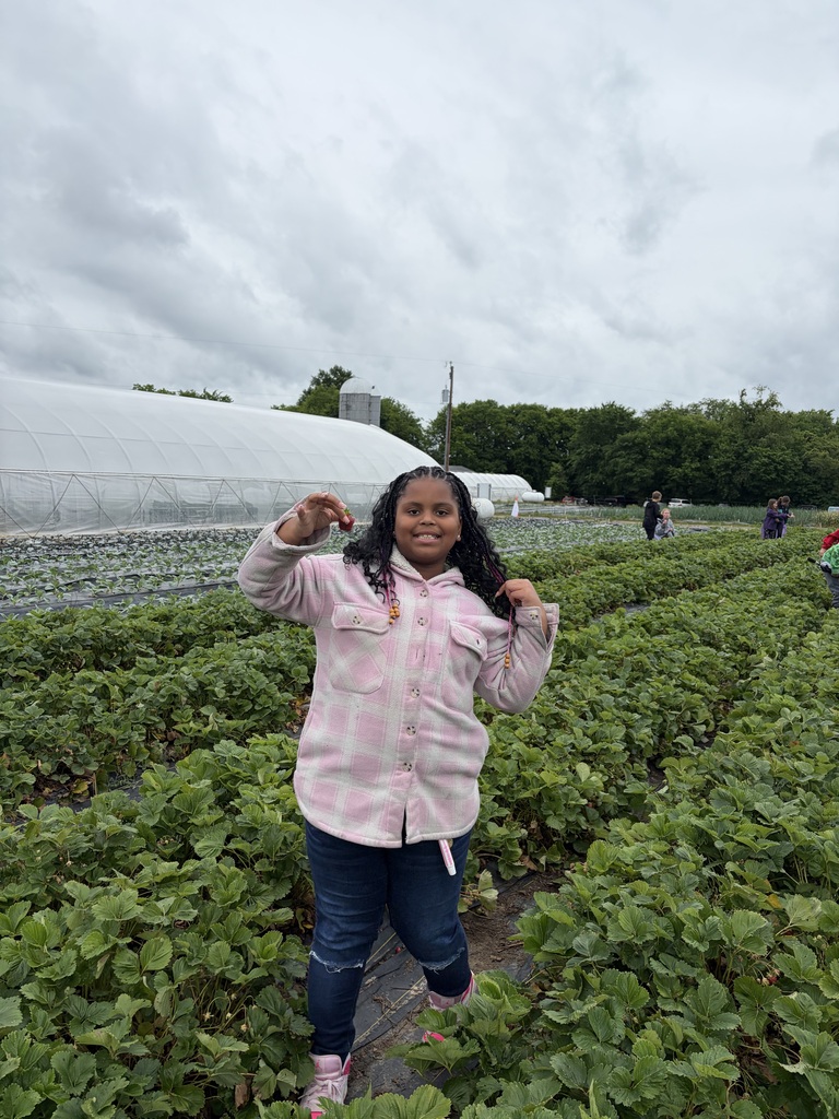 Shalom Farms