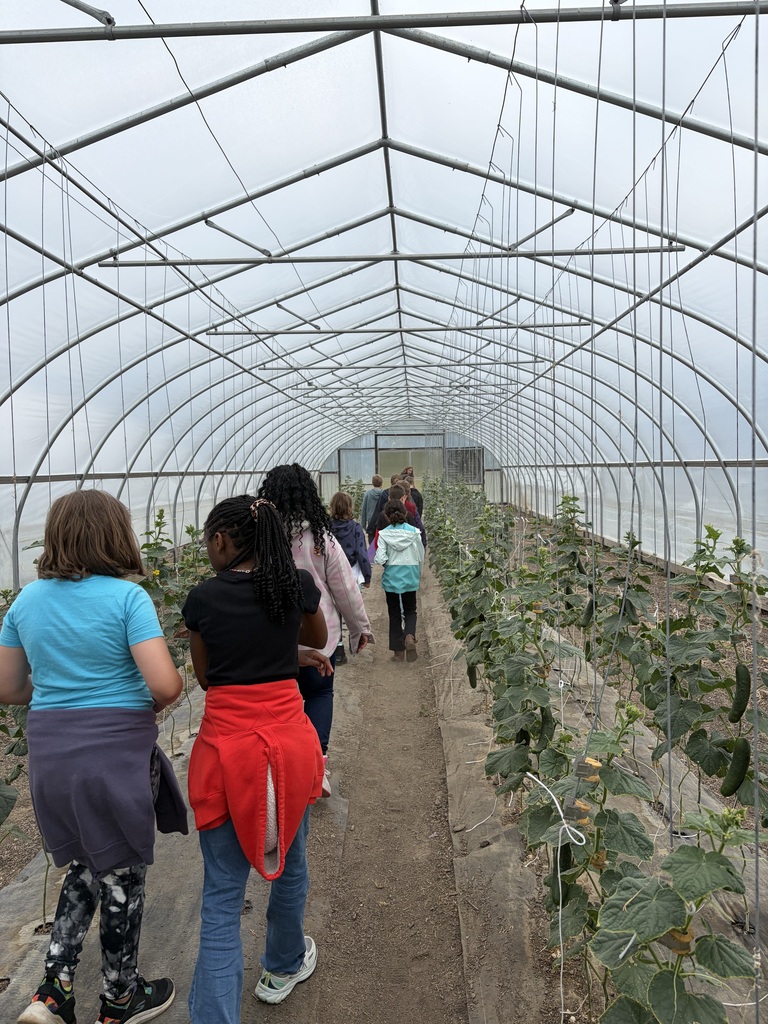 Shalom Farms