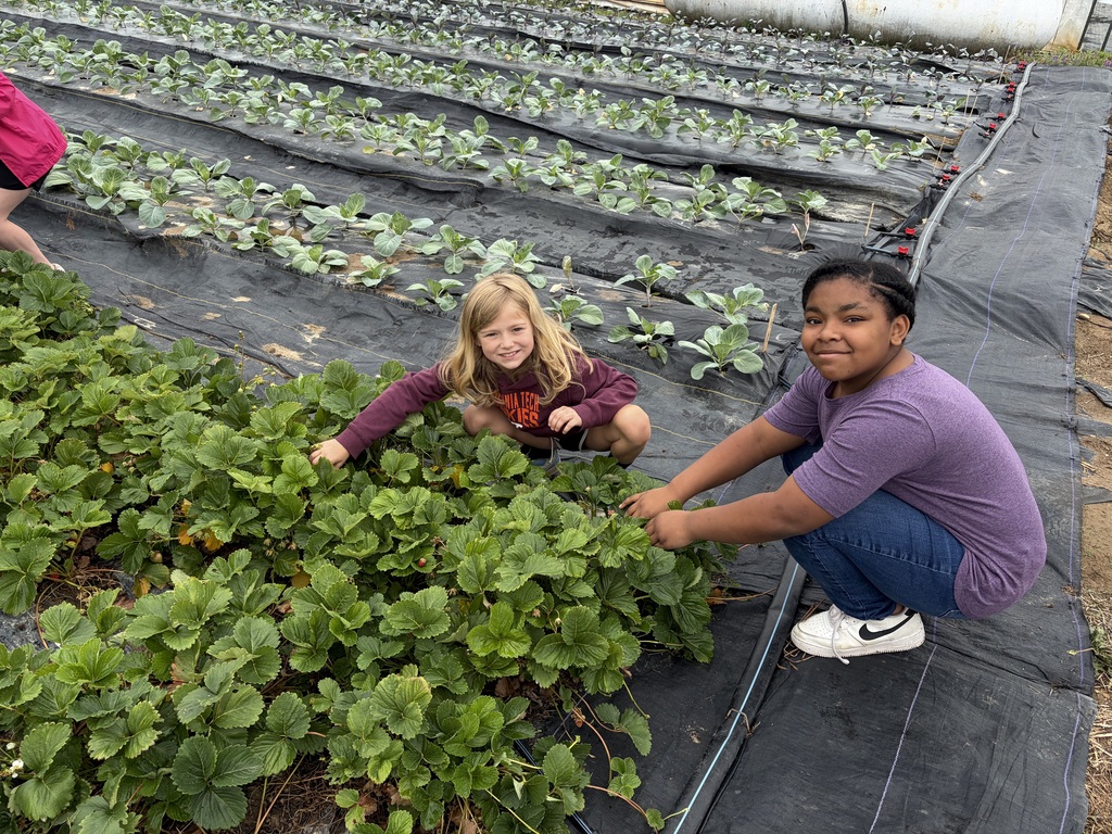 Shalom Farms