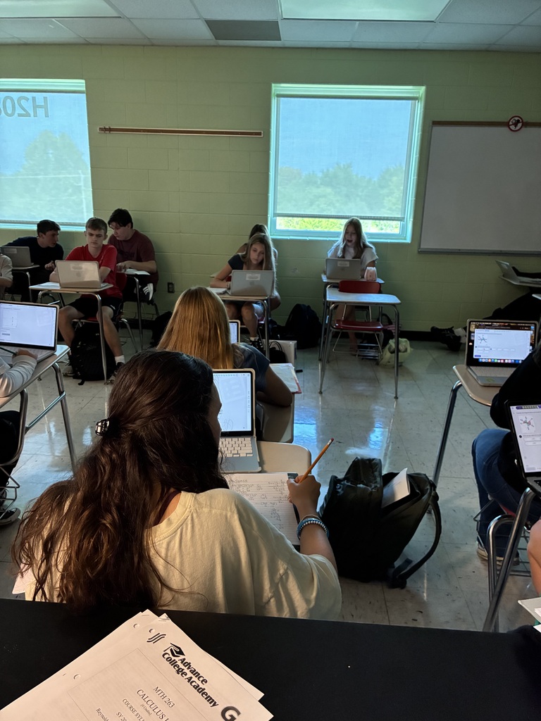 Students completing mathspace activity