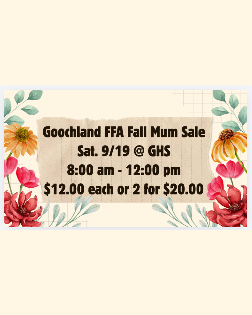 FFA Fall Mum Sale