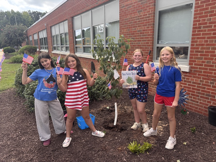 students with the survivor tree