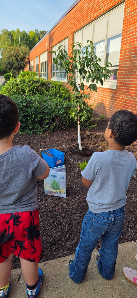 all of our classrooms received a copy of Sean Rubin‘s This Very Tree