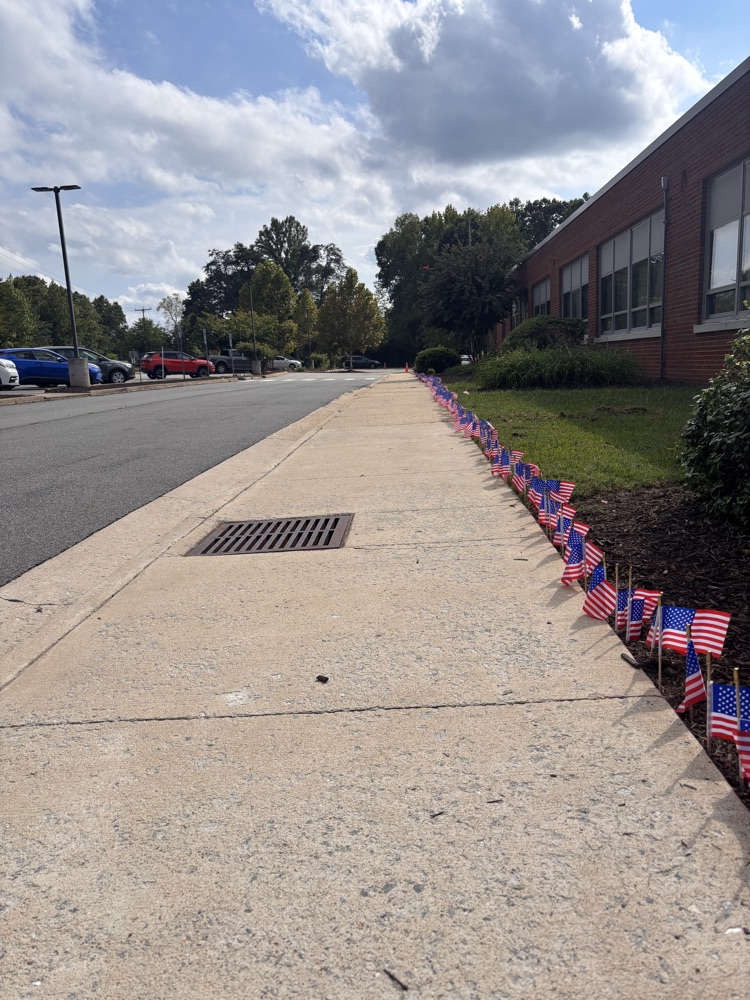 The flags are lining the front walk