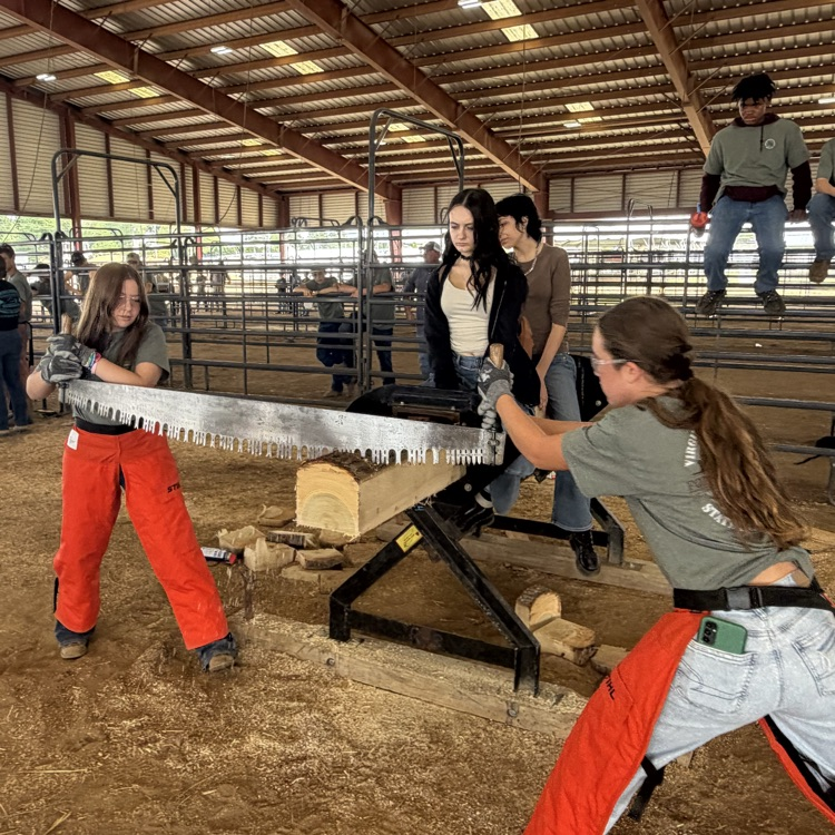 sawing competition 