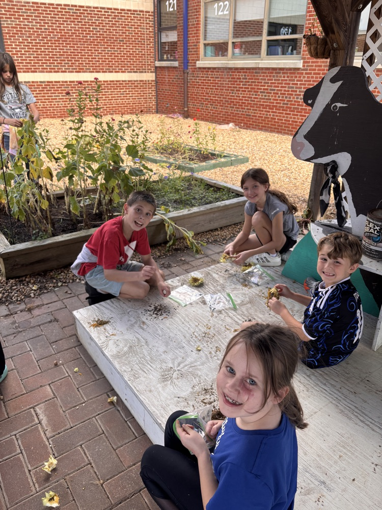 saving seeds