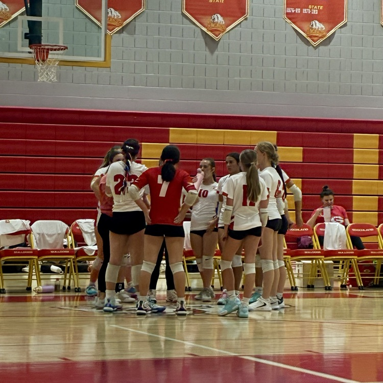 volleyball 