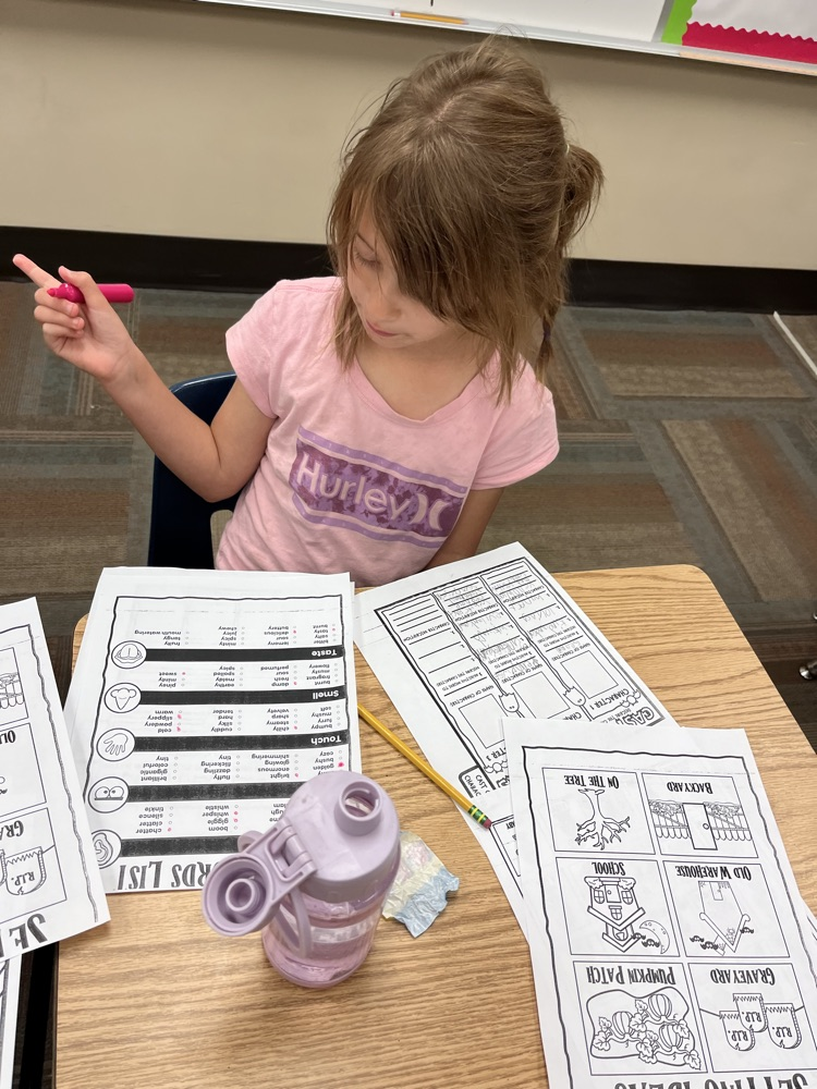 3rd Grade Writing Stories