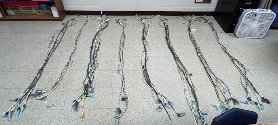 all the jump ropes 