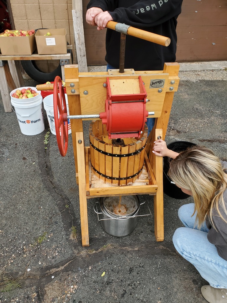 Pressing the cider