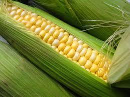 sweetcorn