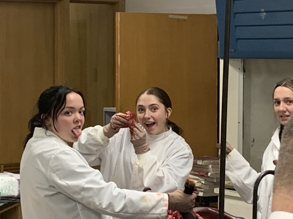 A spectrum of emotions