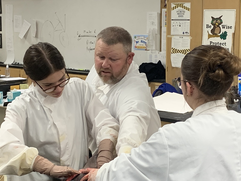 Assisting with tying a knot