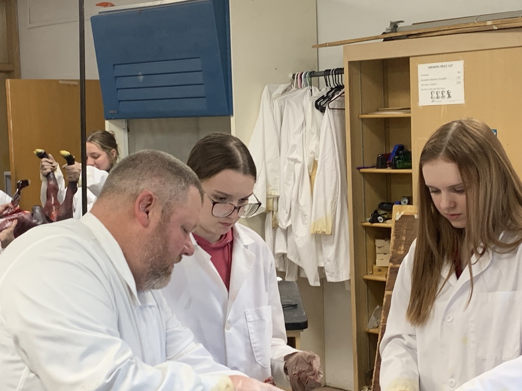 Mr. Haag pointing out anatomy