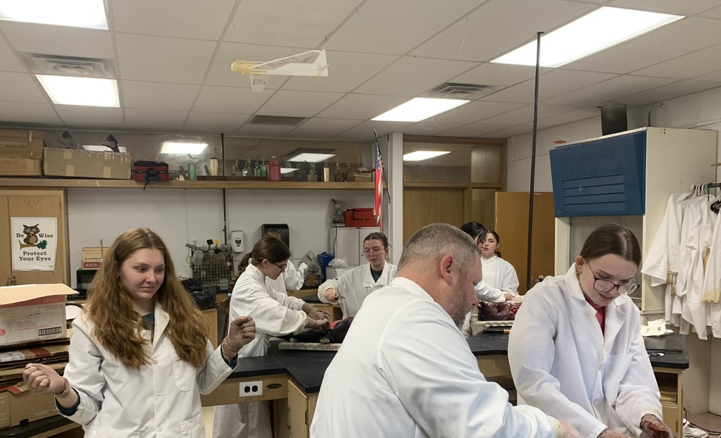 Getting down to business