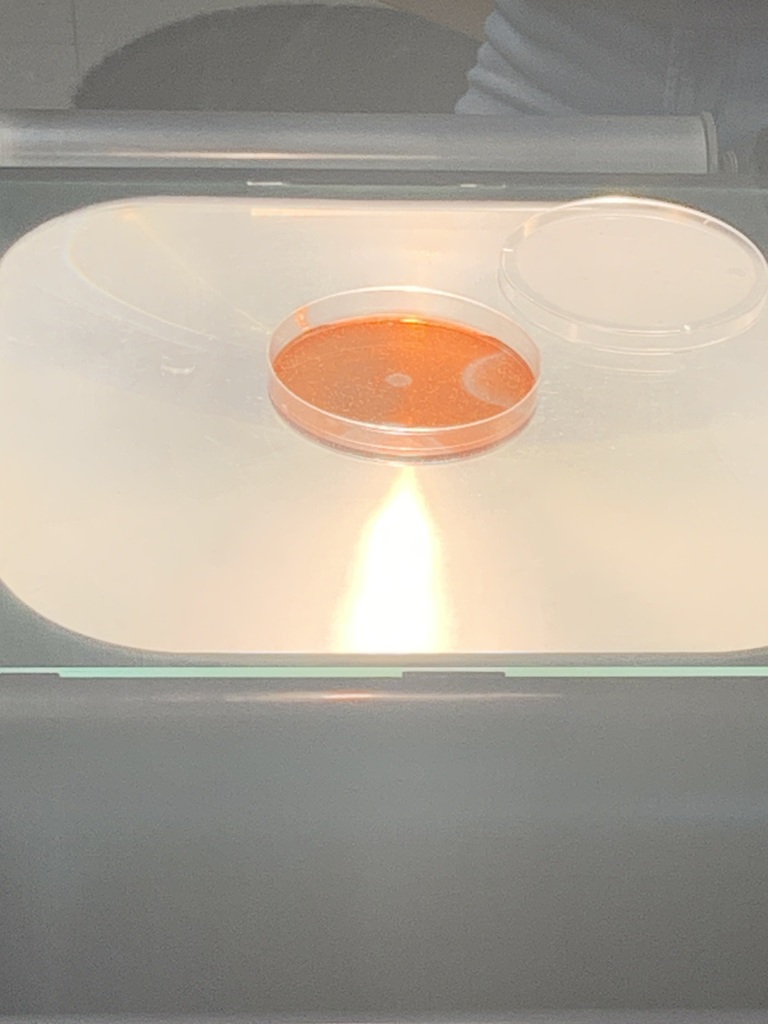 Red changing to Blue