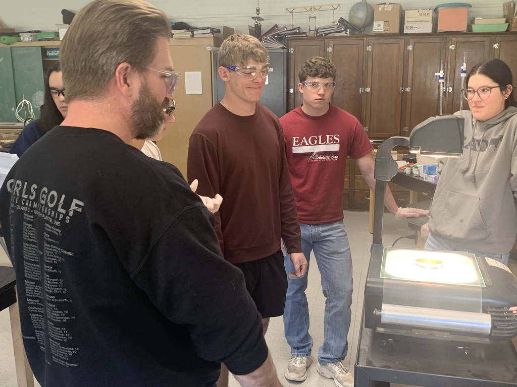 Admiring the changes