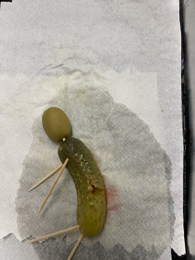 Cucumber Autopsy Victim 5