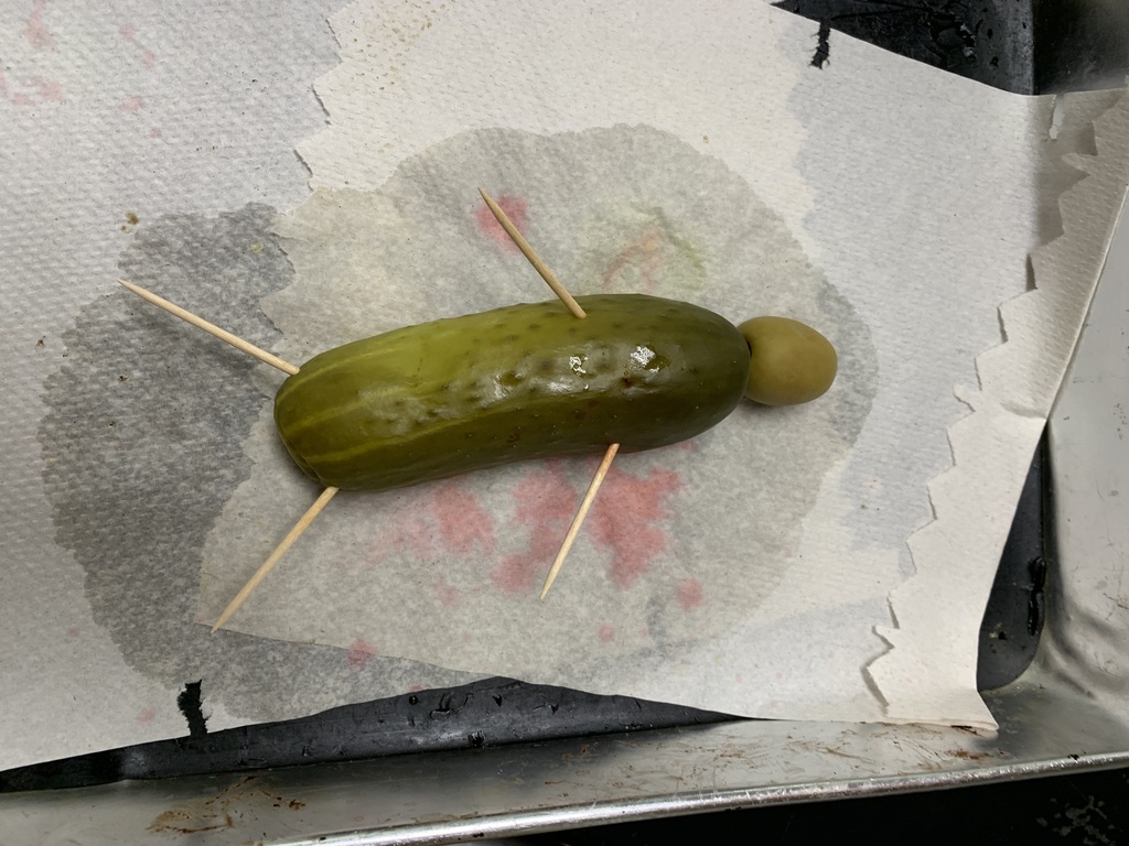 Cucumber Autopsy Victim 1