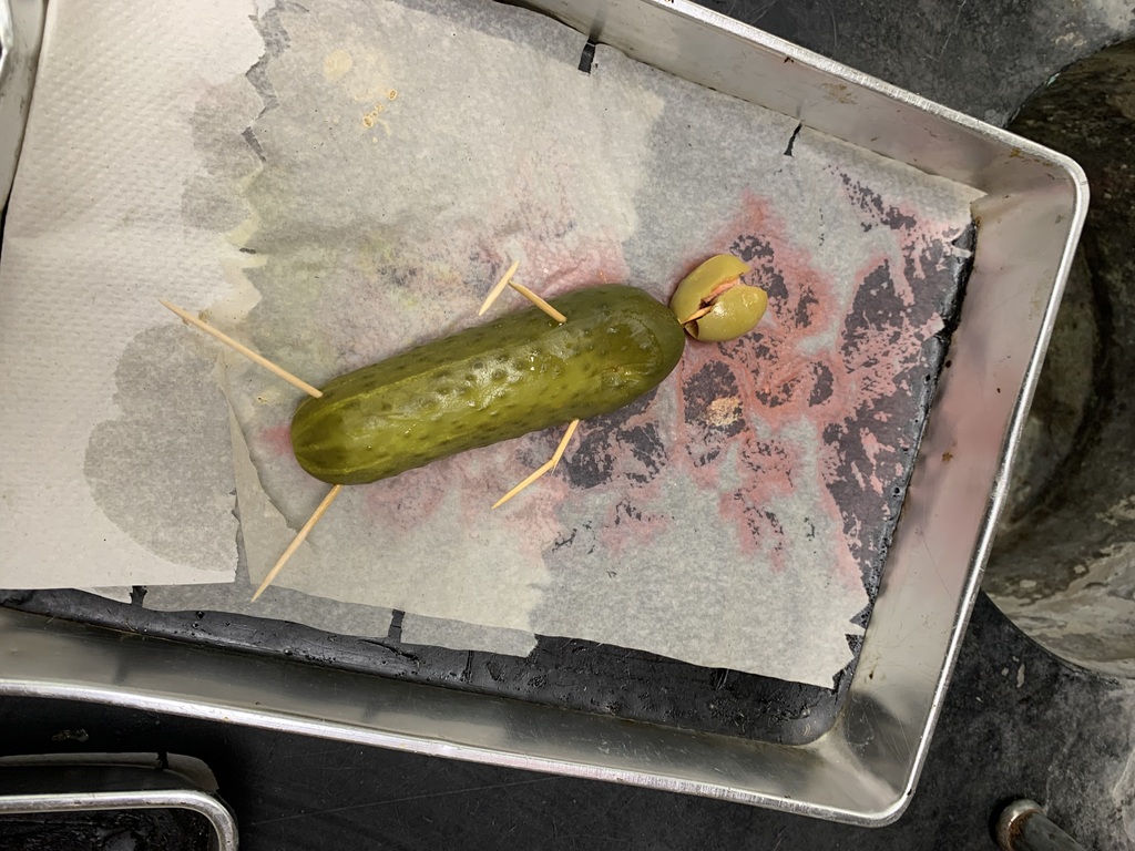 Cucumber Autopsy Victim 10