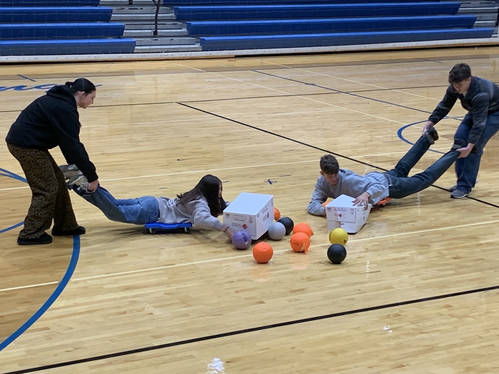 Human hippos round 2