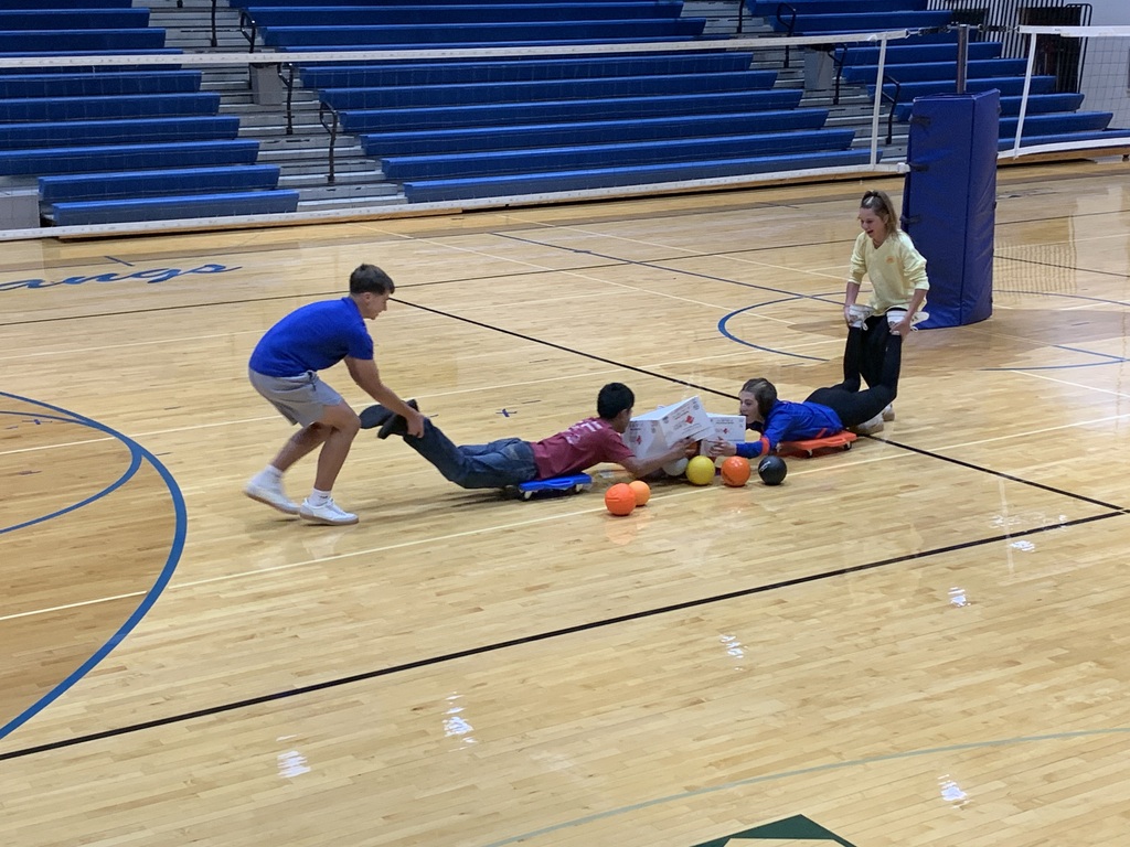 Human hippos collecting