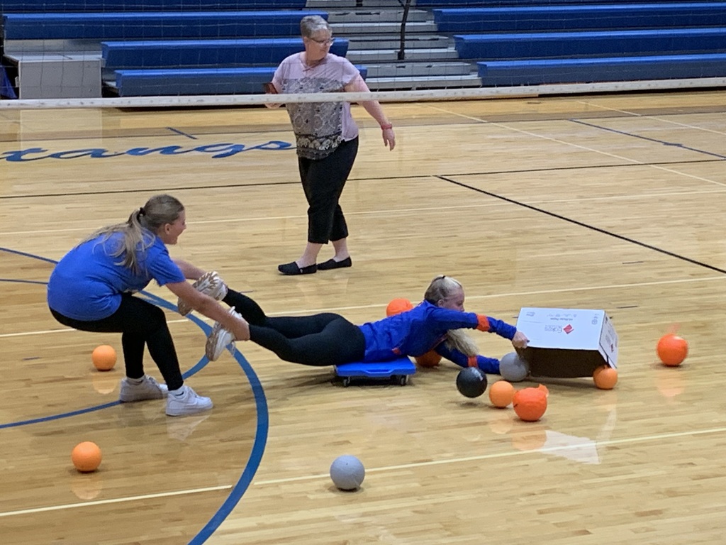 Sophomore human hungry hippos